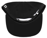 BLVD Supply Palm Tree Waves Snapback Hat