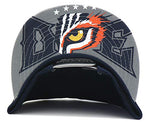 Detroit Leader of the Game Ice Cold Snapback Hat