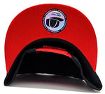 Georgia Premium Colossal Snapback Hat