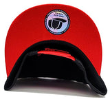 Georgia Premium Colossal Snapback Hat