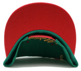 Mexico Leader of the Game Tornado Snapback Hat