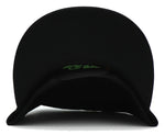 Native Pride Leader of the Game Bird Snapback Hat