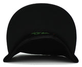 Native Pride Leader of the Game Bird Snapback Hat