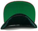 Native Pride Zephyr Pow Wow Warrior Snapback Hat