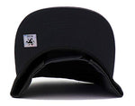 Top Level Crowned Notorious Snapback Hat
