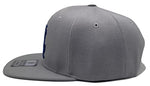 Los Angeles Headlines Palm Snapback Hat