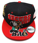 Top Pro Secure the Bag Snapback Hat