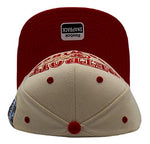 Detroit Red Wings Reebok Winter Classic Snapback Hat
