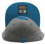 Los Angeles Headlines Custom Palm Snapback Hat