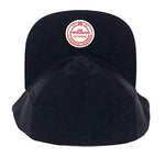 Milwaukee Bucks Mitchell & Ness Satin Sash Snapback Hat