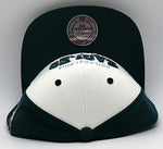 Philadelphia Eagles Mitchell & Ness Brian Dawkins Two Tone Snapback Hat