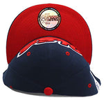 USA Top Pro Tailsweeper Script Snapback Hat