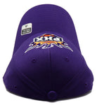 Phoenix Suns Adidas Team Flex Fitted Hat