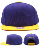 Los Angeles Lakers Mitchell & Ness Cropped XL Logo Snapback Hat